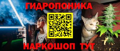 шишки Кунгур