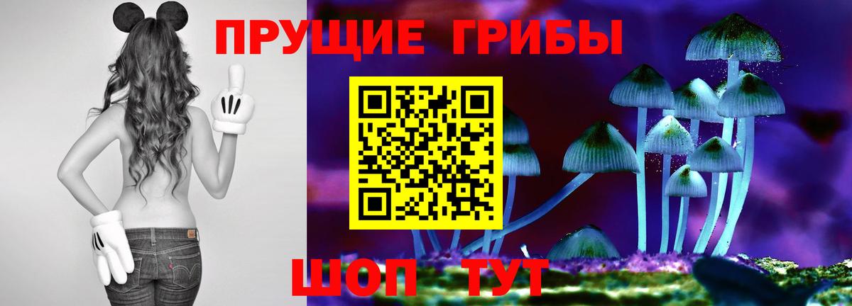 Псилоцибиновые грибы GOLDEN TEACHER  Вход с VPN  Заринск 